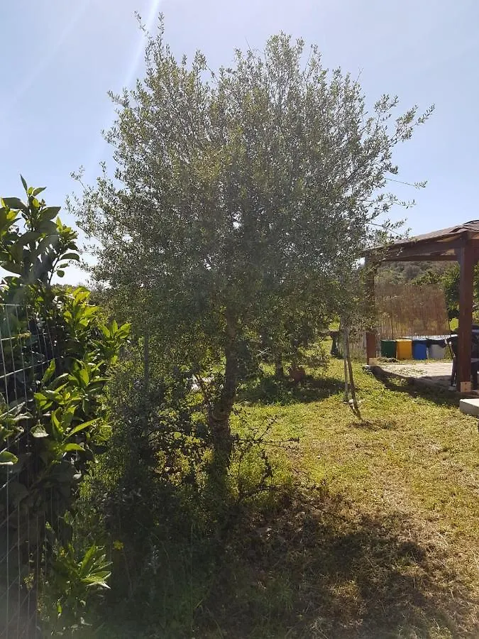 Chalet Sardegna Βίλα Bari Sardo