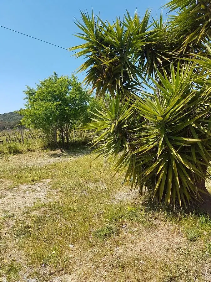 Chalet Sardegna Βίλα Bari Sardo 0*,