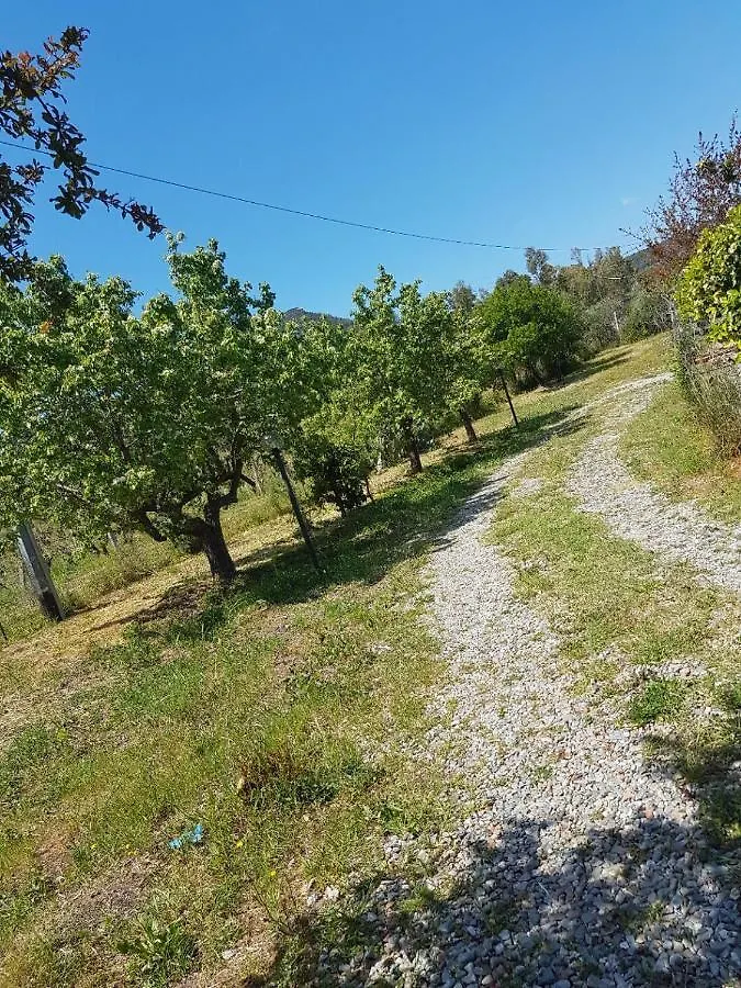Chalet Sardegna Βίλα Bari Sardo